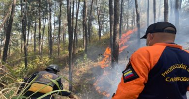 Bomberos atienden incendio forestal en el cerro el Café en Carabobo