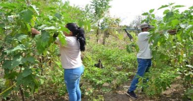 Crearan Fondo Regional para el Emprendimiento en Guárico