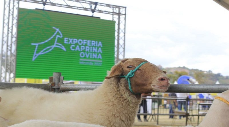 Embajador de Turquía: Expoferia Caprina y Ovina Miranda 2022 muestra potencial de Venezuela