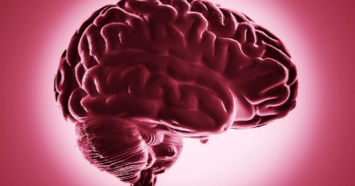 Conoce las células que son clave para recuperarse tras un infarto cerebral