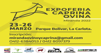 Parque Bolívar acogerá Expoferia Caprina y Ovina Miranda 2022