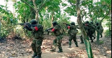 Destruyen sistemas de ataques de Tancol en frontera de Apure