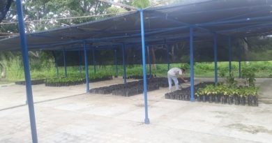 Realizan evaluación y diagnostico de rubro cacaotero en Sucre