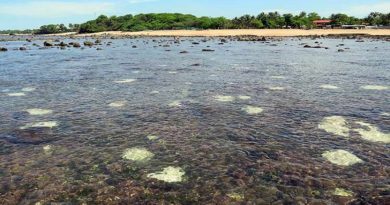 Contaminación y calentamiento global amenaza Los Cóbanos en El Salvador