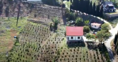 Unidad Productiva Familiar Los Adrianes cuenta con 1.200 plantas de café sembradas