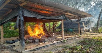 Desmantelan campamento de los grupos TANCOL en Apure
