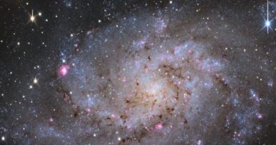 Revelan evolución de Vía Láctea a través de datos de telescopios chinos y europeos