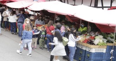 Reactivan el sector económico en La Colonia Tovar