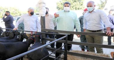 Presidente Maduro: Venezuela va a producir el 100% de sus alimentos en muy corto tiempo
