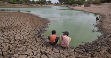 OMS: El estimulo para celebrar el Día Mundial del Clima es proteger la salud