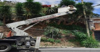 Cuadrillas de la Corporación Eléctrica Nacional (Cirpoelec) en Miranda, conformada por el equipo de Mantenimiento del Centro de Servicios El Barbecho, en Los Teques, ejecutaron una serie de trabajos que apuntaron al Plan Pica, Poda y Tala, con la finalidad de fortalecer oportunamente el servicio eléctrico dentro de los sectores residencial y comercial del municipio Los Salias del estado Miranda.   Las tareas abarcaron 3 kilómetros del recorrido lineal para limpiar y despejar la vegetación encontrada en los tramos correspondientes a las líneas de media tensión dentro de los circuitos involucrados, reseña nota de prensa de Corpoelec.  Operarios de la estatal eléctrica ejecutaron trabajos de identificación y así proceder al tensado de líneas dentro de los puntos claves que forman parte de los sectores Peña Baja, Club de Campo, Potrero del Medio, Topo Sannin y Recta de las Minas.   Con estas labores se pone en manifiesto que Corpoelec ejecuta planes de acción que fortalecen el servicio eléctrico dentro de las zonas que abarcan la geografía de Altos Mirandinos. 