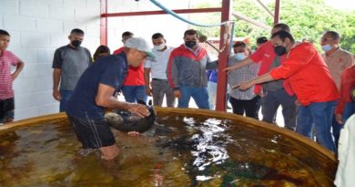 Jesús Farías: Guárico se posiciona como ejemplo de producción