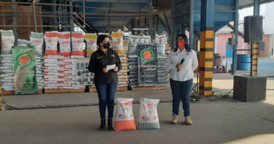 Anuncian organización para la siembra de maíz blanco y amarillo en Cagua