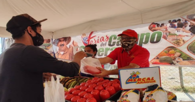 Más de 3 mil beneficiados con Feria del Campo Soberano en Aragua