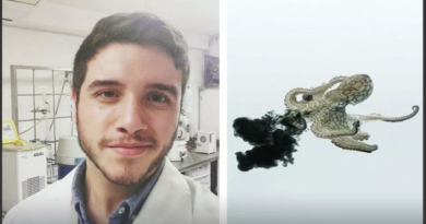 Científico mexicano encuentra posible tratamiento contra el cáncer en la tinta de pulpos