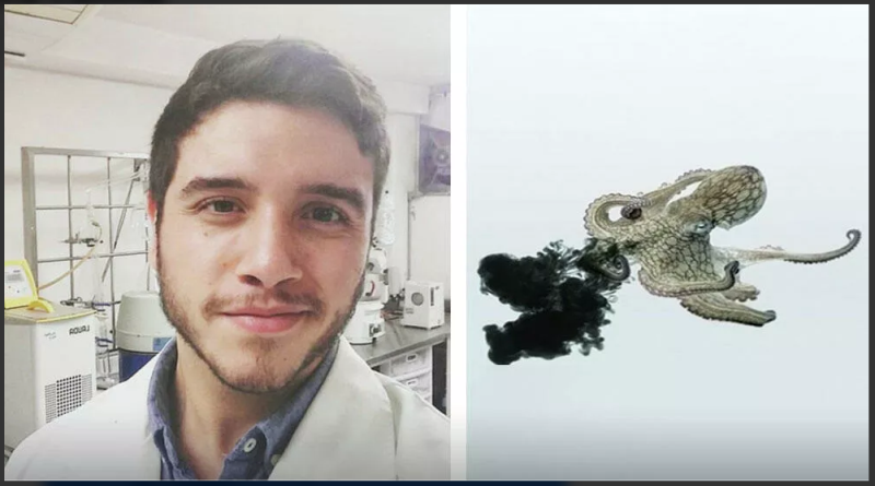 Científico mexicano encuentra posible tratamiento contra el cáncer en la tinta de pulpos