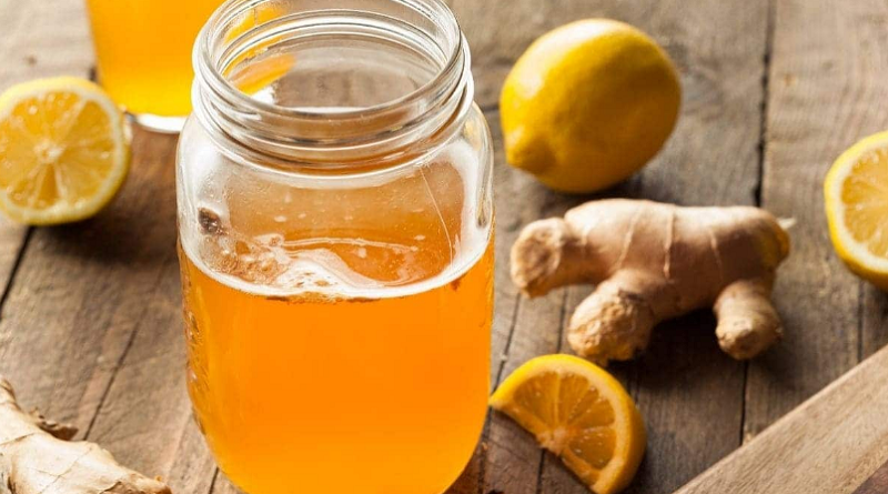¿Qué son los alimentos probióticos y por qué se recomiendan tanto?