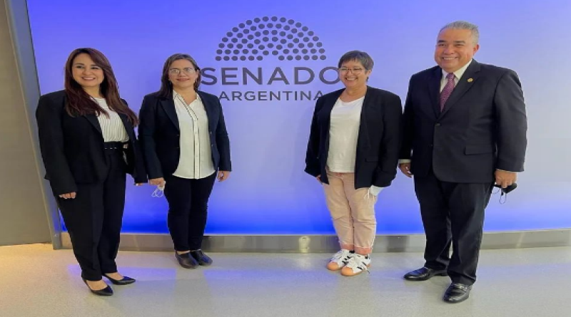 Comisión Especial AN se reunió con Senado de Argentina para investigación de la "Operación Puma"