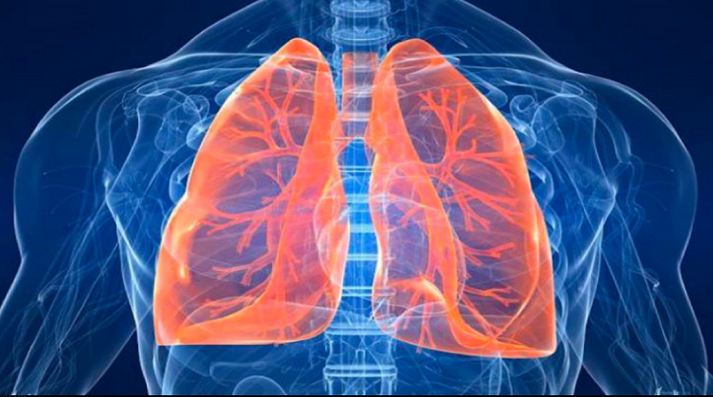Tuberculosis: una enfermedad "no erradicada pero parcialmente olvidada"