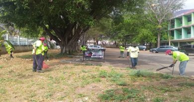 Carabobo Te Quiero refuerza jornadas de desmalezado en planteles educativos