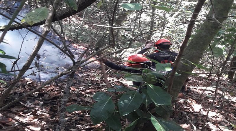Mantienen labores de combate contra incendio en el Waraira Repano