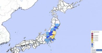 Registran terremoto de magnitud 5,4 en Japón