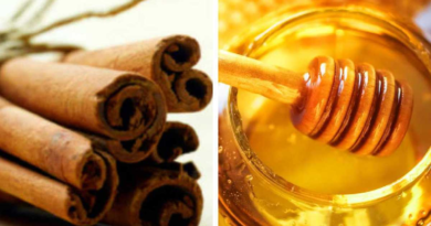 Conoce los beneficios que tiene consumir miel y canela en ayunas