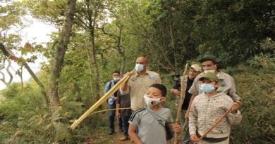 Con primera poda Palmeros de Chacao marcan inicio de la Semana Santa