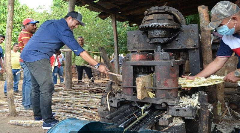 Prevén elevar la producción de caña papelonera y derivados en Guárico