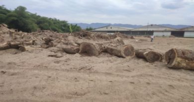 AN crea Comisión Especial para investigar ecocidio y despojo a campesinos de Guatire por parte de alcaldía