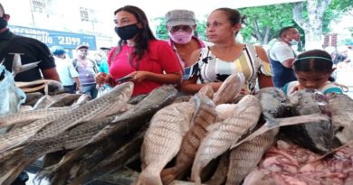 Feria de Proteína Pesquera distribuyó más de 57 toneladas a familias de Miranda