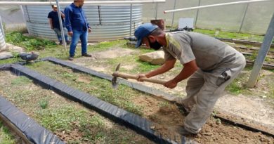 Productores agrourbanos activan socioproductivo en Ciudad Caribia