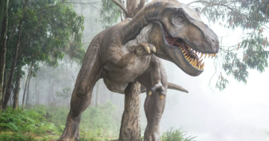 Estudio pone fin a debate científico sobre antiguo misterio de los dinosaurios