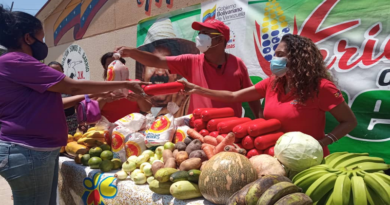 Benefician a más de 5.260 familias de Aragua con Feria del Campo Soberano