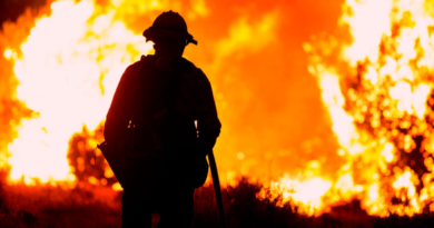 Presidente Maduro celebra el Día Internacional del Combatiente de Incendios Forestales