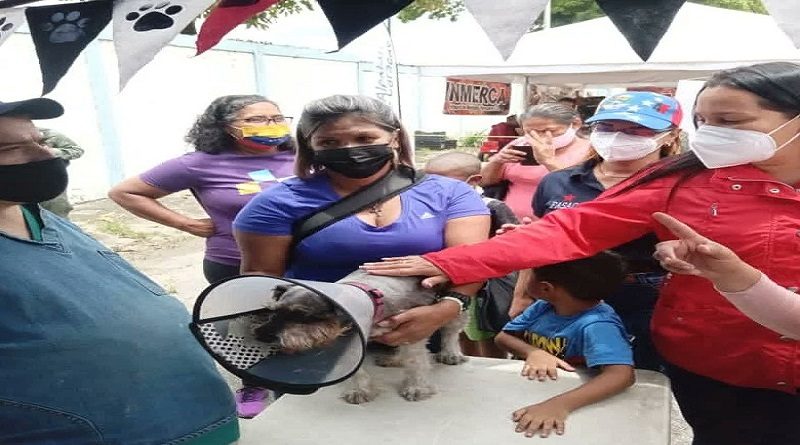 Misión Nevado realiza jornada integral de atención de mascotas en Caracas