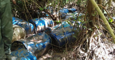 FANB desmantela campamento ilícito dedicado al suministro de combustible