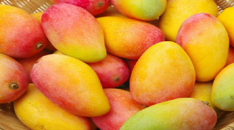 Conoce los beneficios del mango para la salud