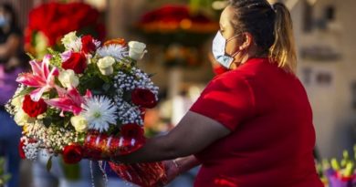 Malaverismos: El día de la madre en la oposición