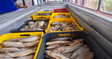 Atienden a 252 familias en Apure con distribución de cuatro toneladas de alimentos
