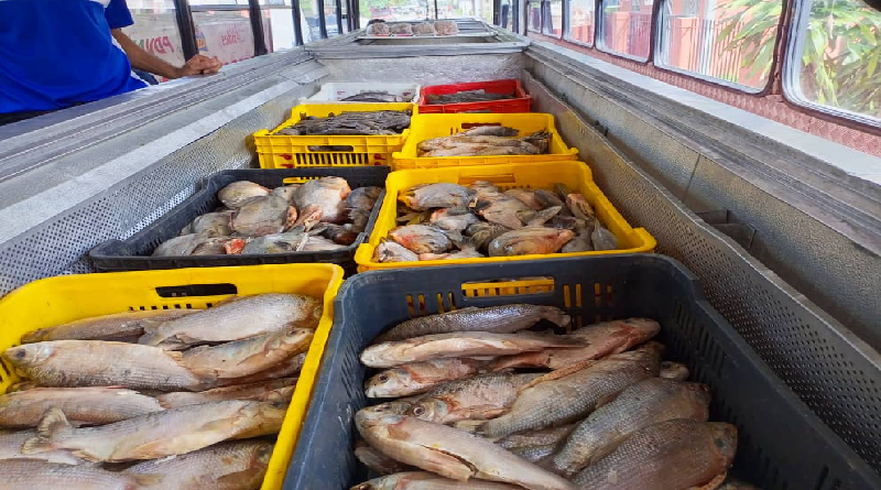 Atienden a 252 familias en Apure con distribución de cuatro toneladas de alimentos