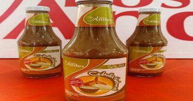 Lácteos Los Andes impulsa producción de Salsa de Cebolla Dulce