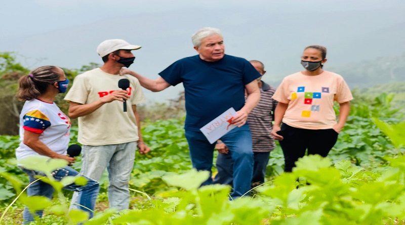 Conuqueros de Carayaca crían animales y producen multicultivos en 4 hectáreas