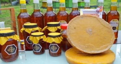 Expandirán e impulsarán cultivo de apicultura en Guárico