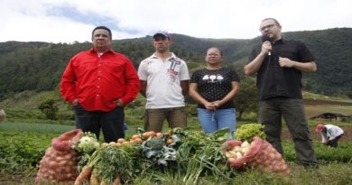 Producen 27 rubros estratégicos en Unidad Productiva Mesa Arriba de Carache