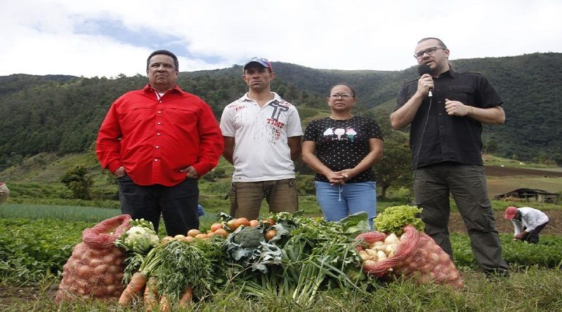Producen 27 rubros estratégicos en Unidad Productiva Mesa Arriba de Carache
