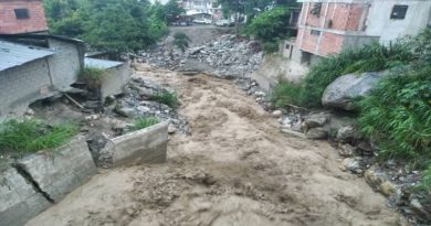 Al menos 10 mil viviendas fueron afectadas por caída de granizo en Mérida