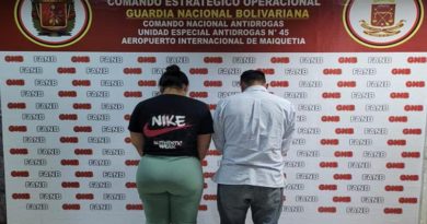 Aprehenden a dos personas por falsificación de visas internacionales
