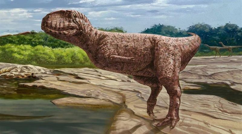 Descubren en Egipto fósil de dinosaurio de 98 millones de años