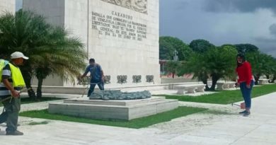 Realizan trabajos de limpieza y rehabilitación al Paseo Los Próceres en Caracas